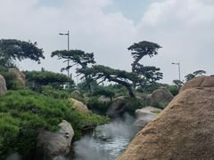 -罗红摄影艺术馆