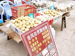 -五凤溪古镇