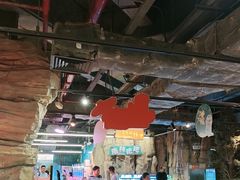-正佳雨林生态植物园