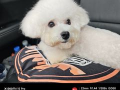 -久久宠物(河东万达店)