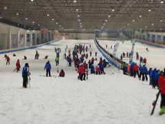 -绍兴启迪乔波冰雪世界