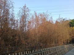 -福道