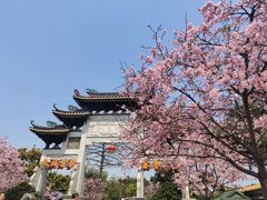 -宝墨园景区