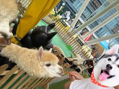 -大族广场Mall&More