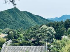 -潭柘寺景区