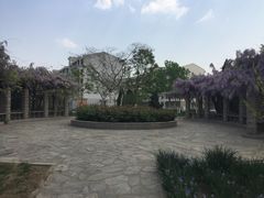 -南开大学滨海学院