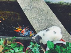 -老屋咖啡