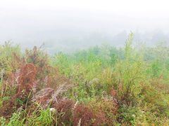 -照金香山旅游景区