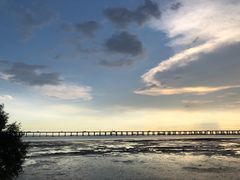 -宝安西湾红树林湿地公园