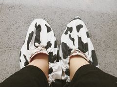 -蒙牛工业旅游景区