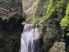 -青城山