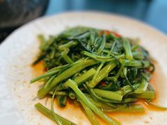 油渣虾皮炒时蔬-新加坡海鲜(国贸商城店)