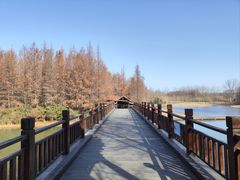 -溱湖国家湿地公园