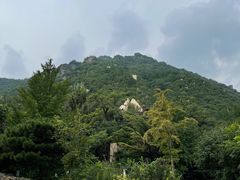 -北京鹫峰国家森林公园