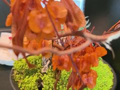-炊江南·上海菜(国展华漕店)