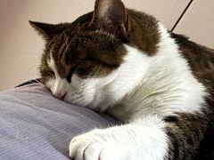 -苹果花园(金耀南路店)