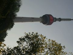 android_upload_pic-龟山风景区-龟山电视塔