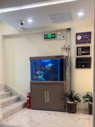 -海涛医疗美容·面部抗衰·注射美鼻