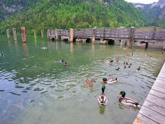 -柯尼希湖