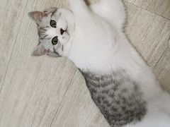 -美迦爱-牙专科·兔科·骨科诊疗中心(北苑店)