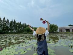 -上海长兴岛郊野公园