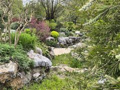 -东湖落雁景区
