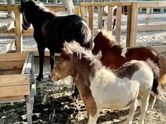 -水上乐园·欢乐世界