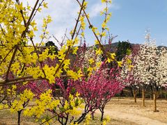 -北京西山国家森林公园
