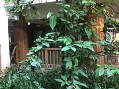 -纳兰傣雀傣味餐厅