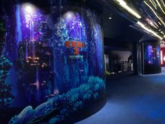 -SFC上影影城(港汇永华IMAX激光店)