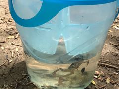 -碓臼峪自然风景区