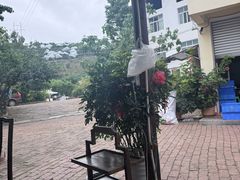 -刘艳黄牛肉(九襄店)