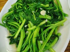 清炒菜心-苏记农家菜馆