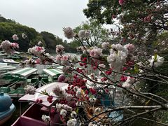 -无锡惠山寺