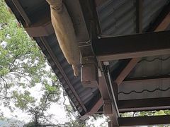 -普陀山风景名胜区-法雨禅寺
