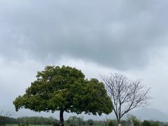 -良渚古城遗址公园