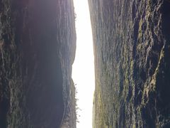 -汤旺河林海奇石景区