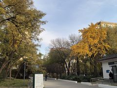 -元大都城垣遗址公园