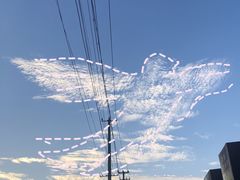 -海棠糕双酿团