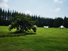 -黄海国家森林公园