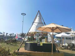 -第34届青岛国际啤酒节