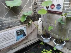 -燕喜堂·中华老字号(大明湖店)
