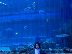 -华夏文旅西安度假区