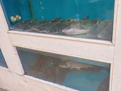 -红菜坊·烤鸭·川鲁宴(石园店)