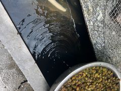 -途中饭店(开化店)