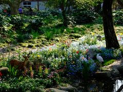 -上海共青森林公园