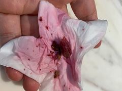 -KUNCHA鲲茶·江西制茶(铜锣湾店)