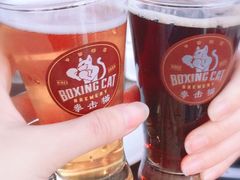 -Boxing Cat Brewery拳击猫精酿啤酒馆(永福店)