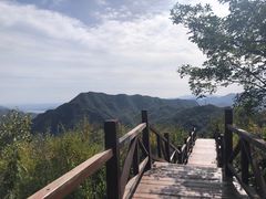 -大岭沟猕猴桃谷风景区
