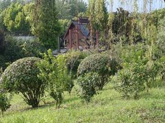 -合肥滨湖国家森林公园